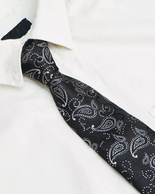 Paisley Ties for Men – Tie Set 