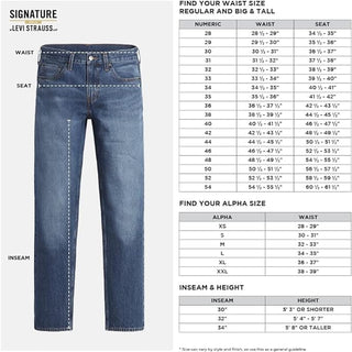 Big Men's Straight Fit Jeans