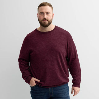 Big & Tall ?? Crewneck Sweater