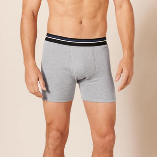 Large Men's Boxer Brief-Pack of 5