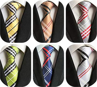 Classic Men's Silk Tie 6 pack