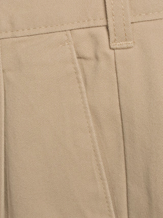 Big Men's Pleated Wrinkle Resistant Pants