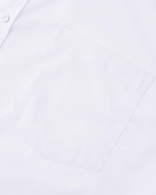 Big Men's Dress Shirt