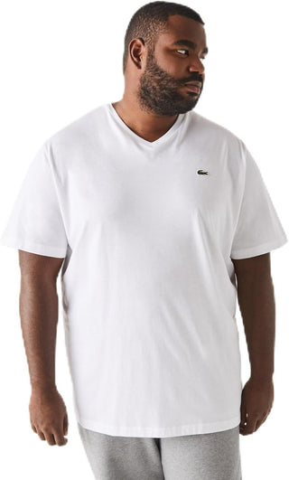 Men's Big Fit V-Neck T-Shirt